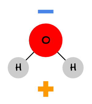Water is a polar molecule