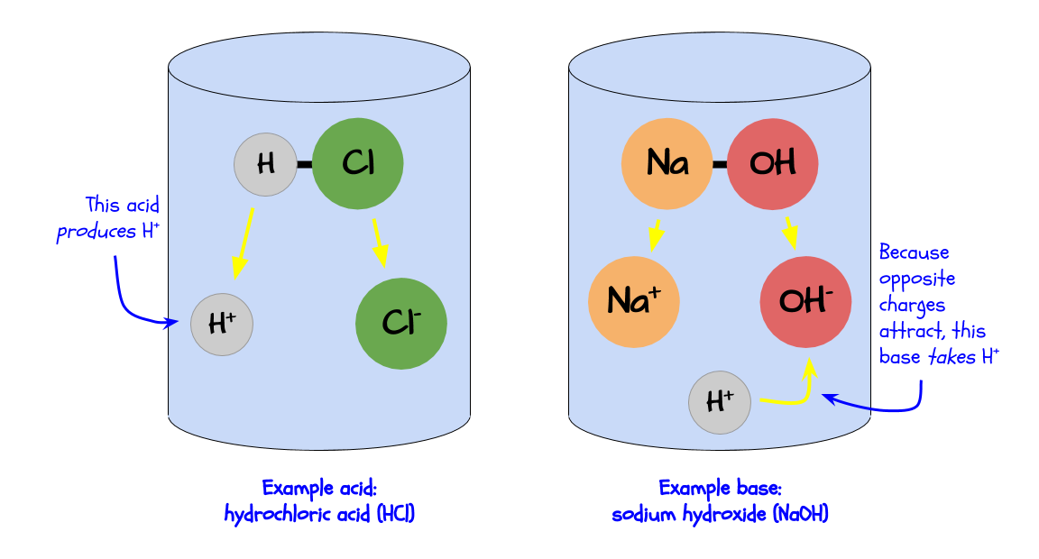 Acids produce hydrogen, bases take hydrogen