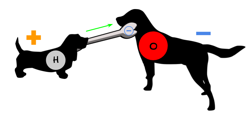 Dogs playing electron tug-of-war