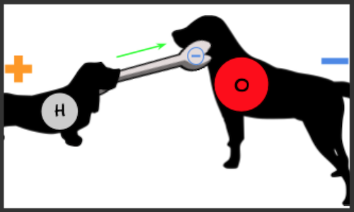 Dogs playing electron tug-of-war