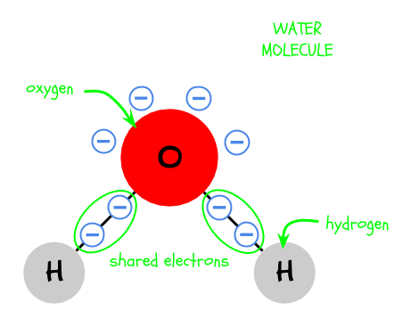 A water molecule